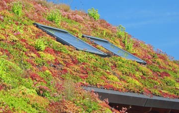 Antony Passage living roof systems
